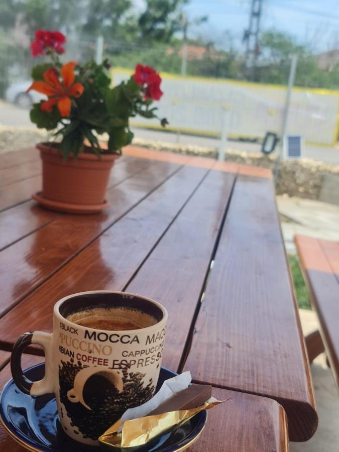 Hotel Yuka Vama Veche Zewnętrze zdjęcie